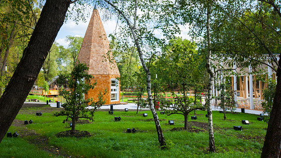 : Городская ферма