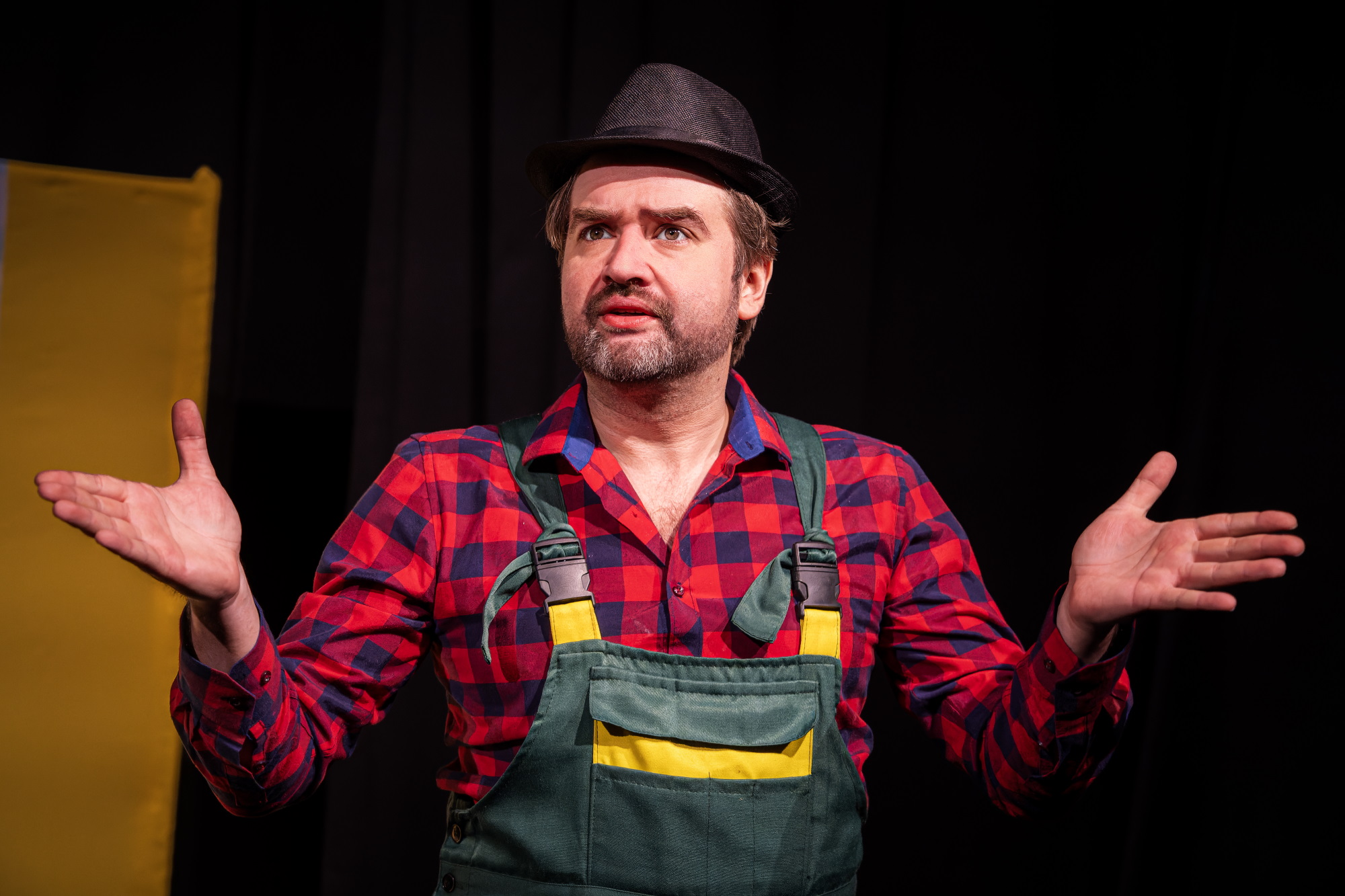 Петсон и Финдус – афиша