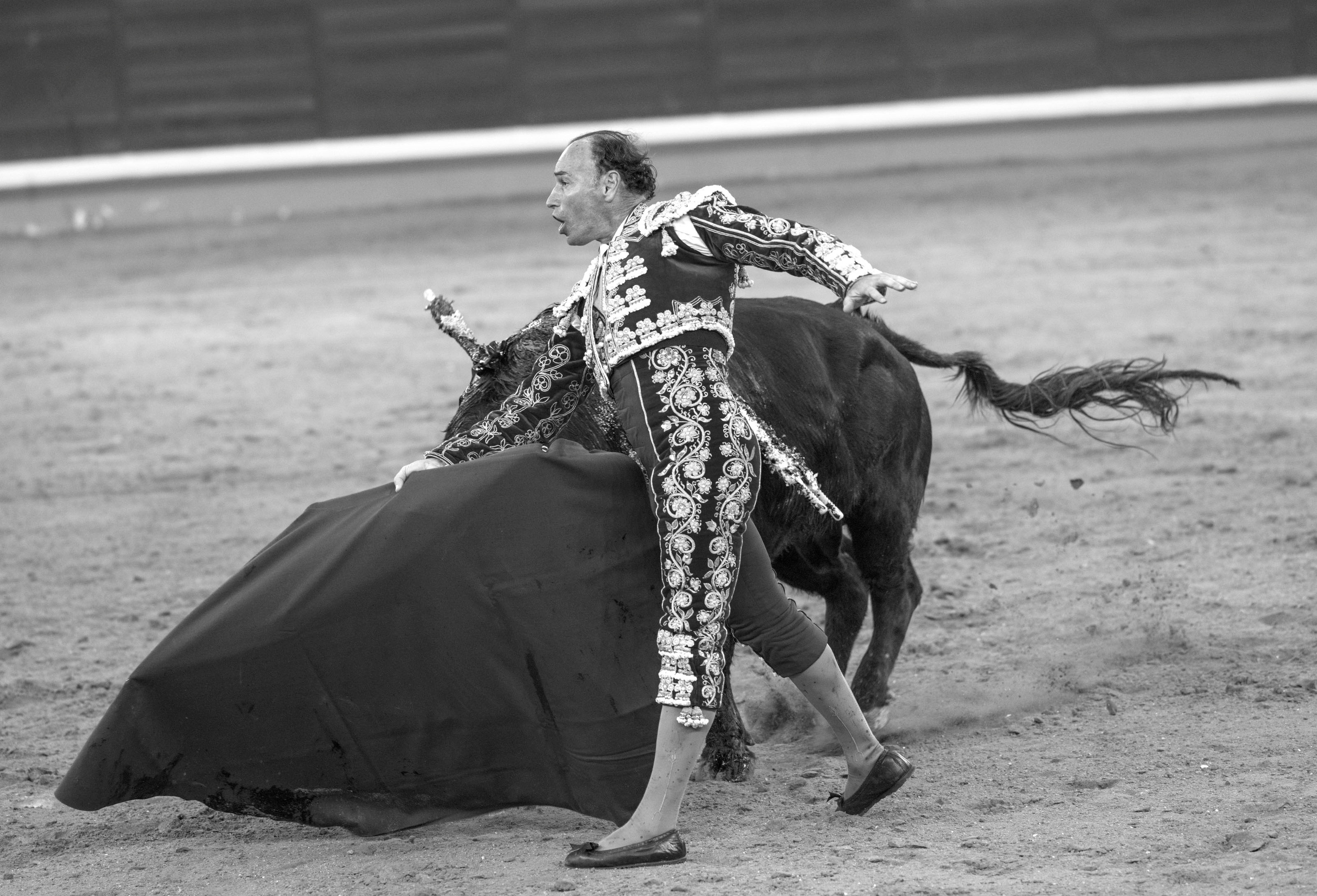 Torero juego