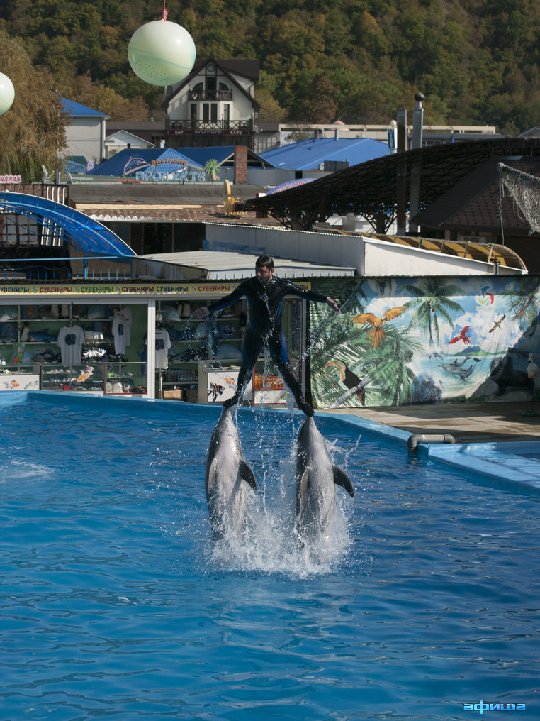 Михаил Галустян – фото