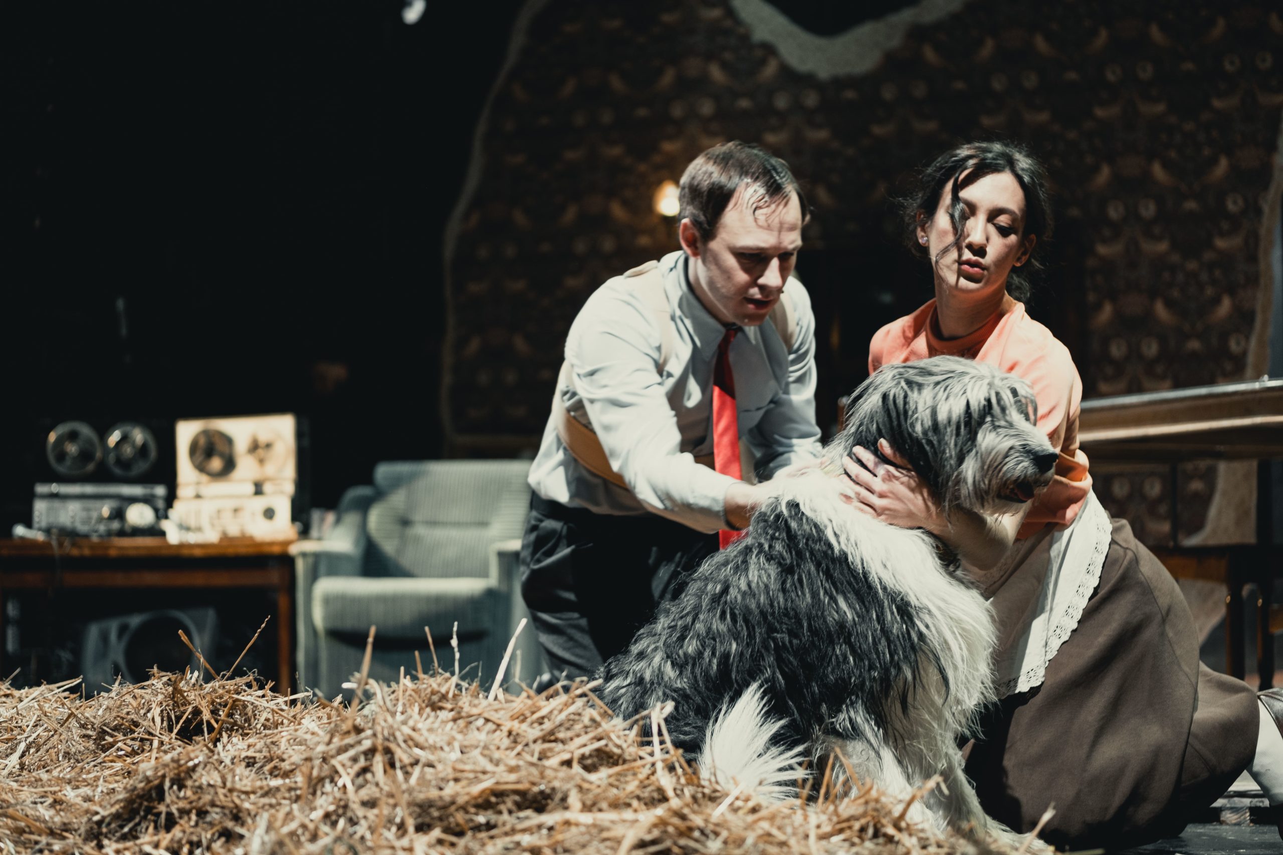TheatreHD: Собачье сердце – афиша