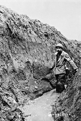 Красный Крест. Гуманитарная фотография 1863–1945 – афиша