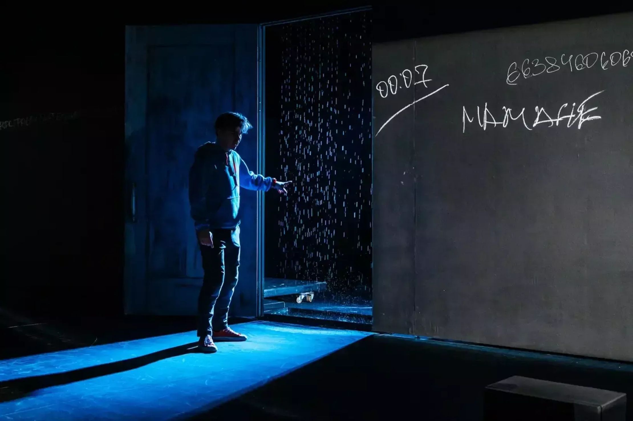 Загадочное ночное убийство собаки – афиша