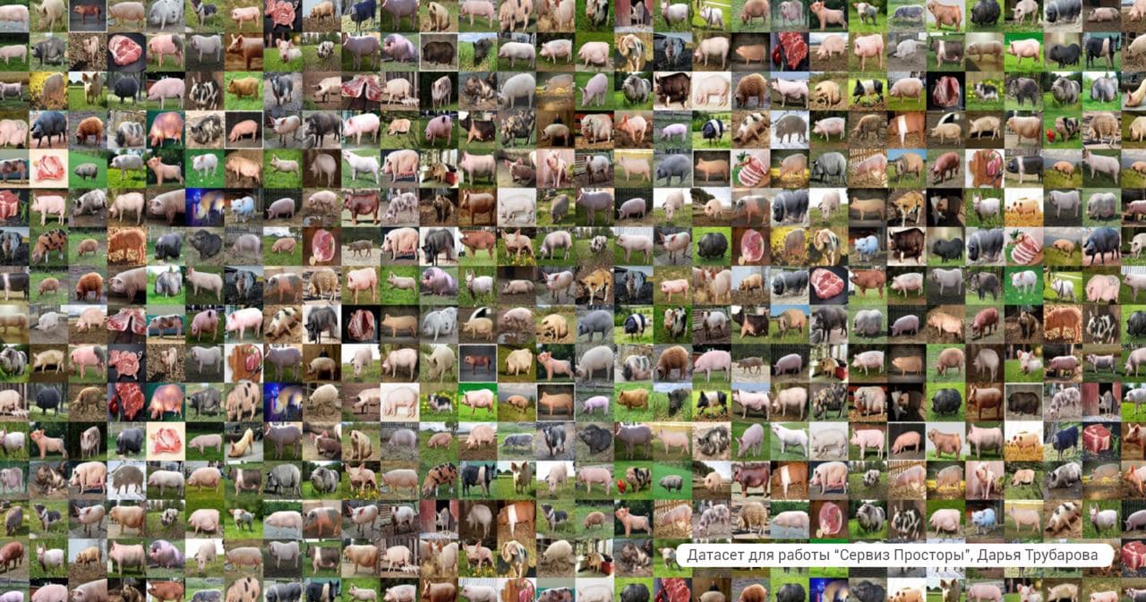 Человек питающийся – афиша