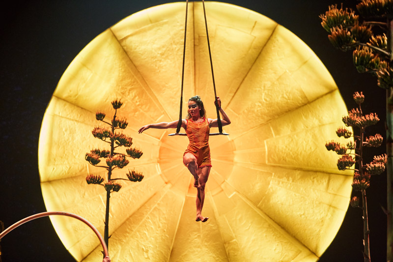 Luzia – афиша