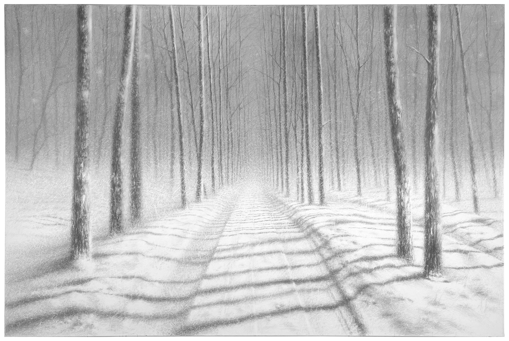 Даня Акулин. Пенумбра – афиша