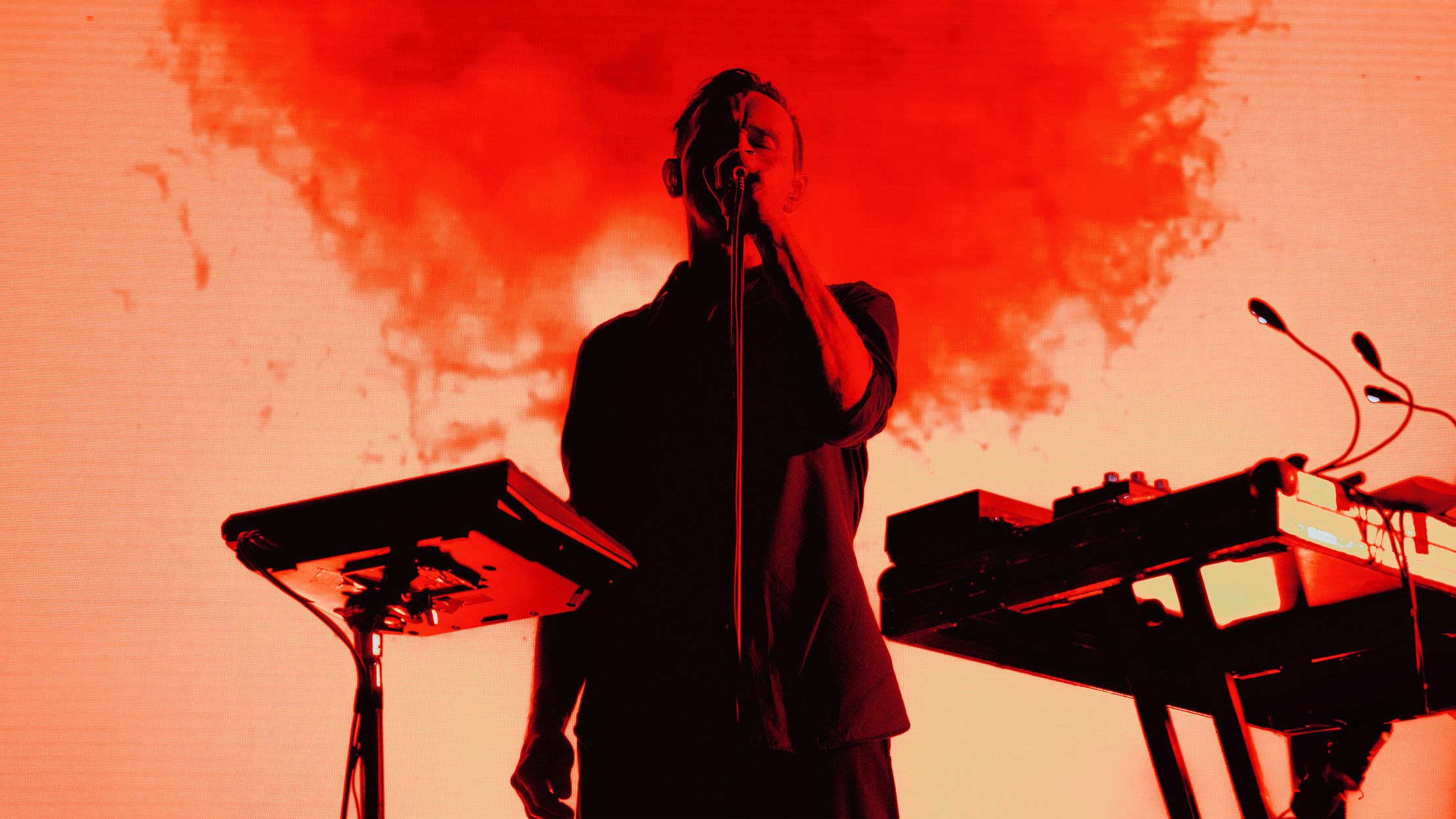 Дельфин – фото