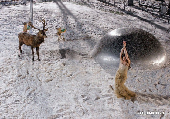 Лицо – афиша