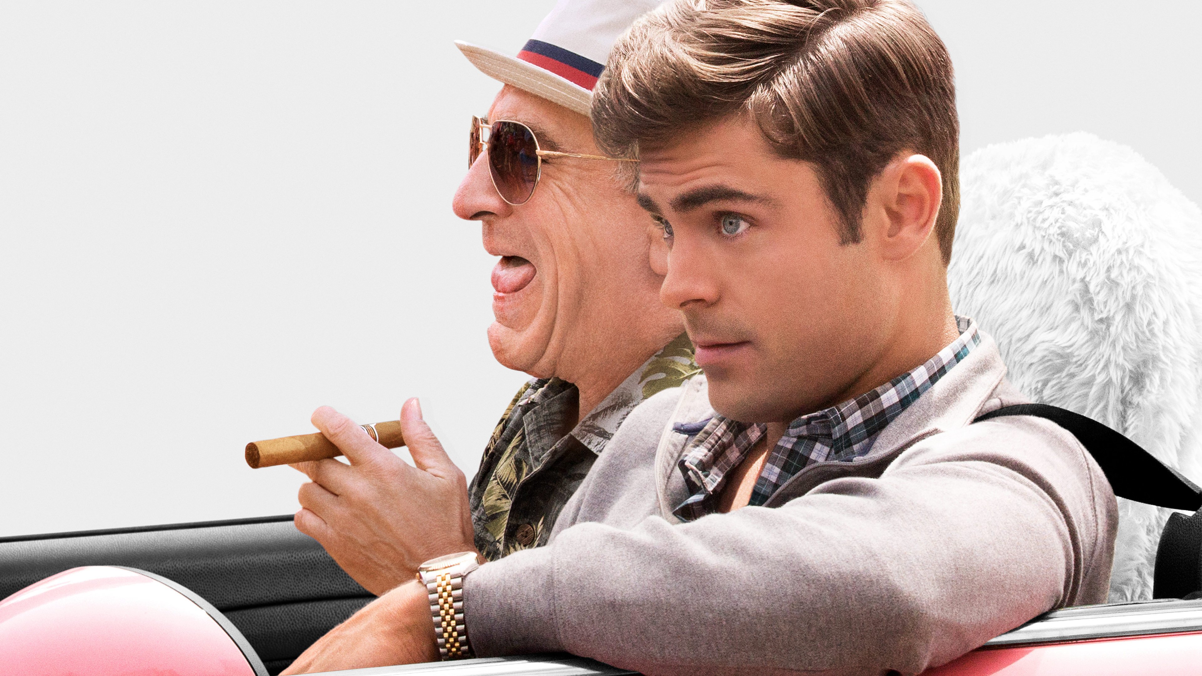    Dirty Grandpa  2016 -          