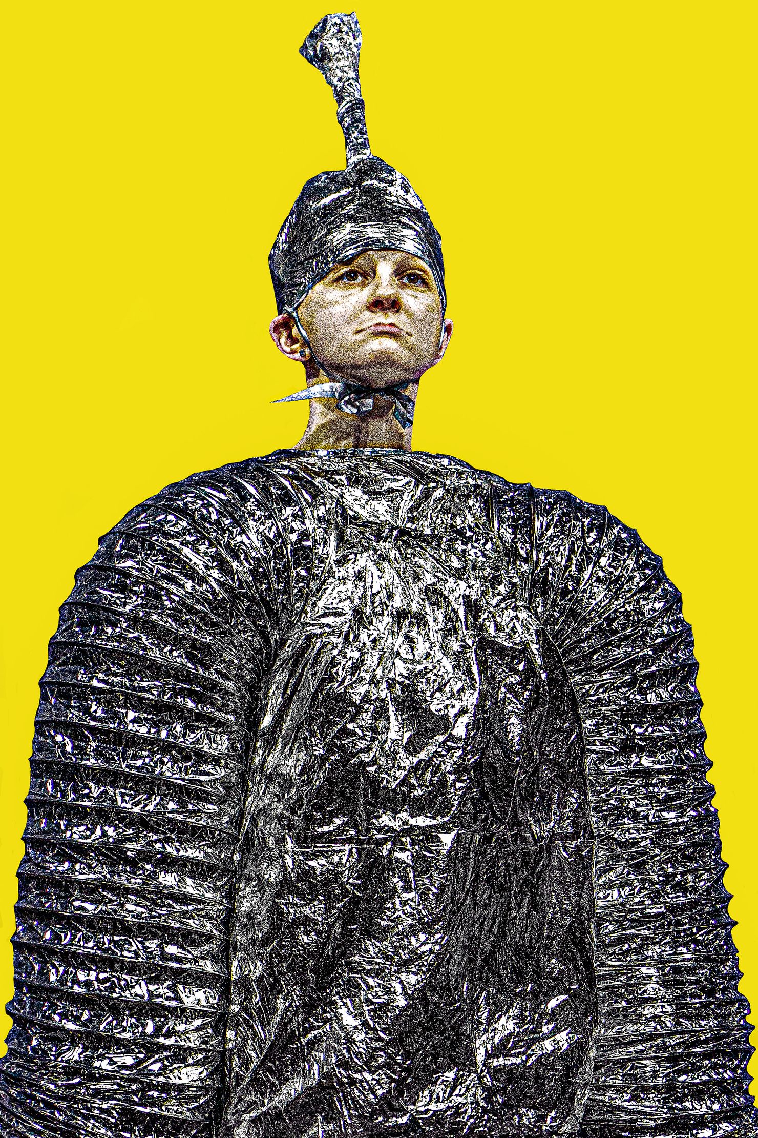 Рисовая собака – афиша