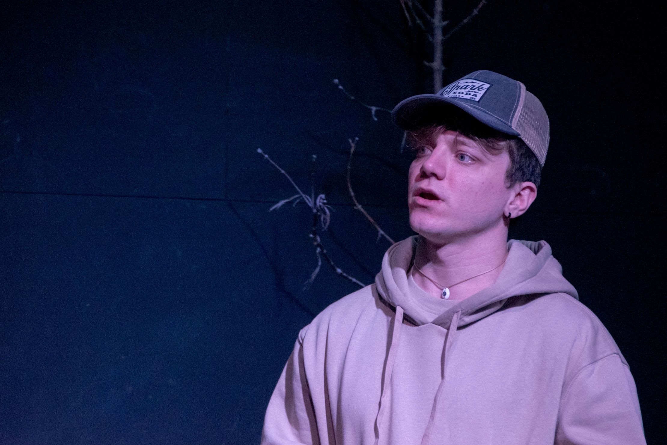 Над пропастью во ржи – афиша