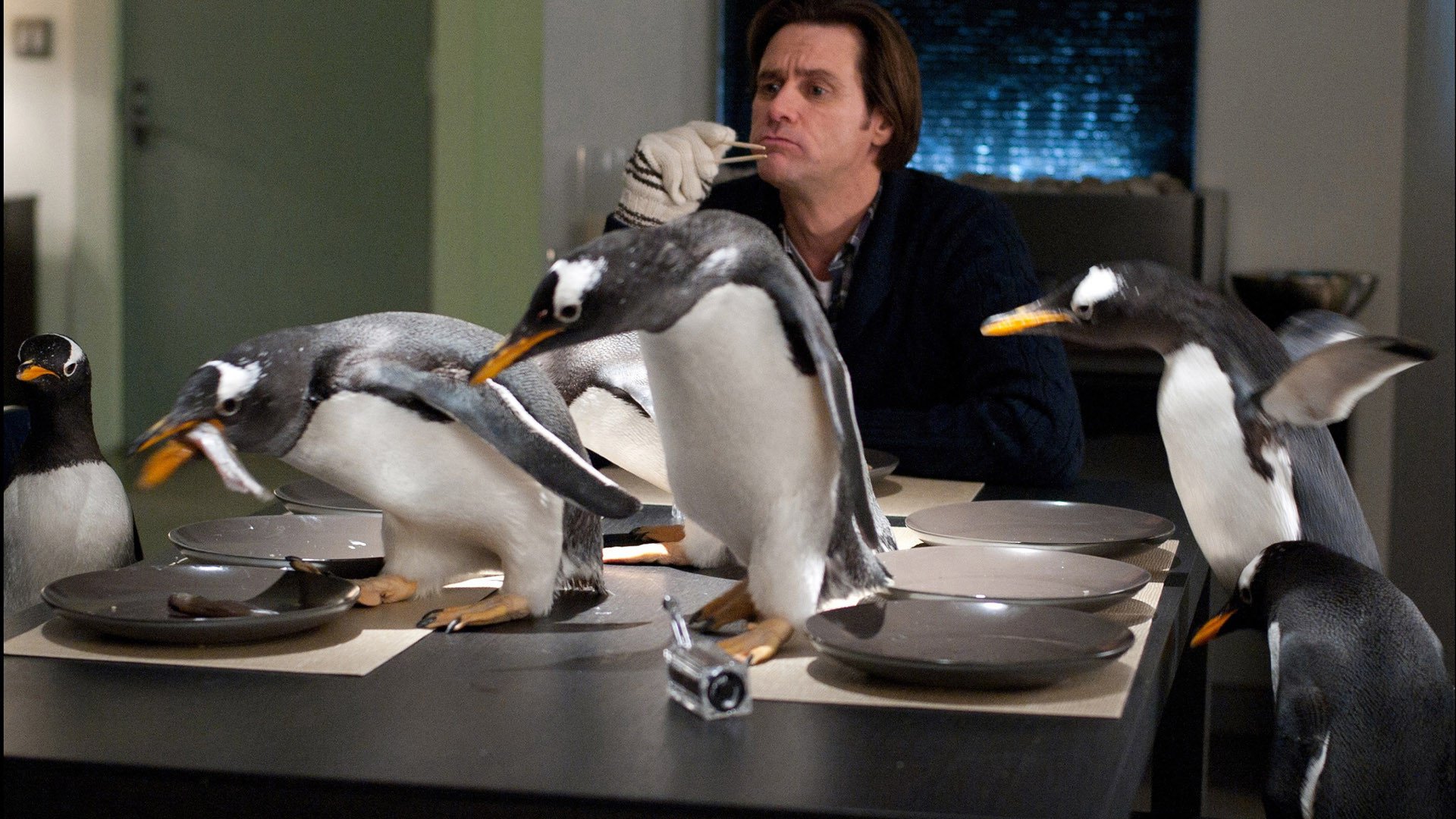 Фильм Пингвины мистера Поппера (США, 2011) смотреть онлайн – Афиша-Кино
