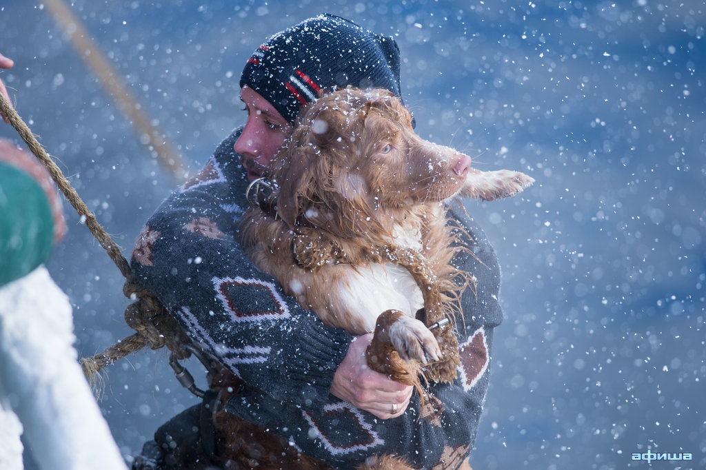 Александр Яценко – 'фото'