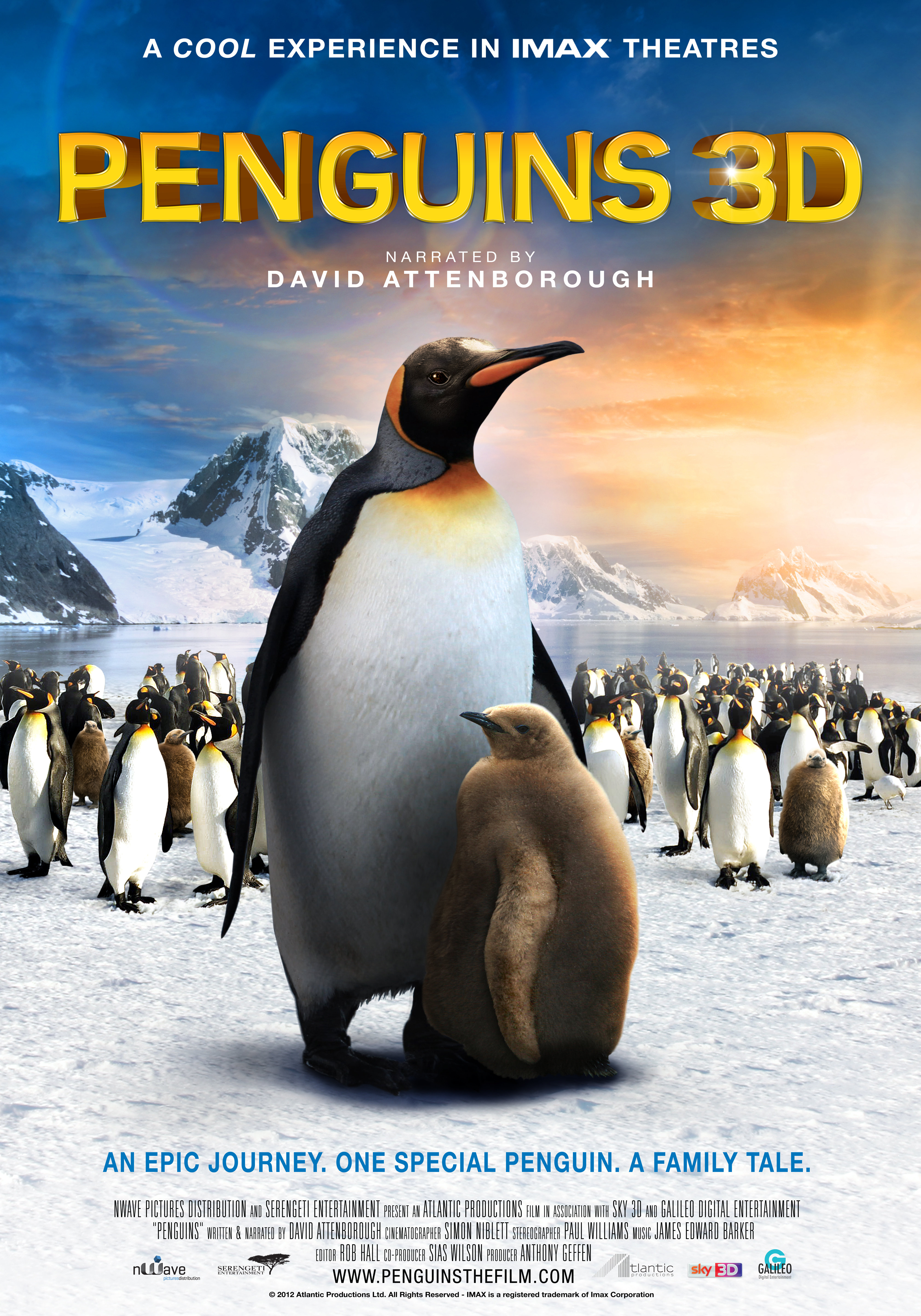 Три пингвина расписание. Постер Пингвин.