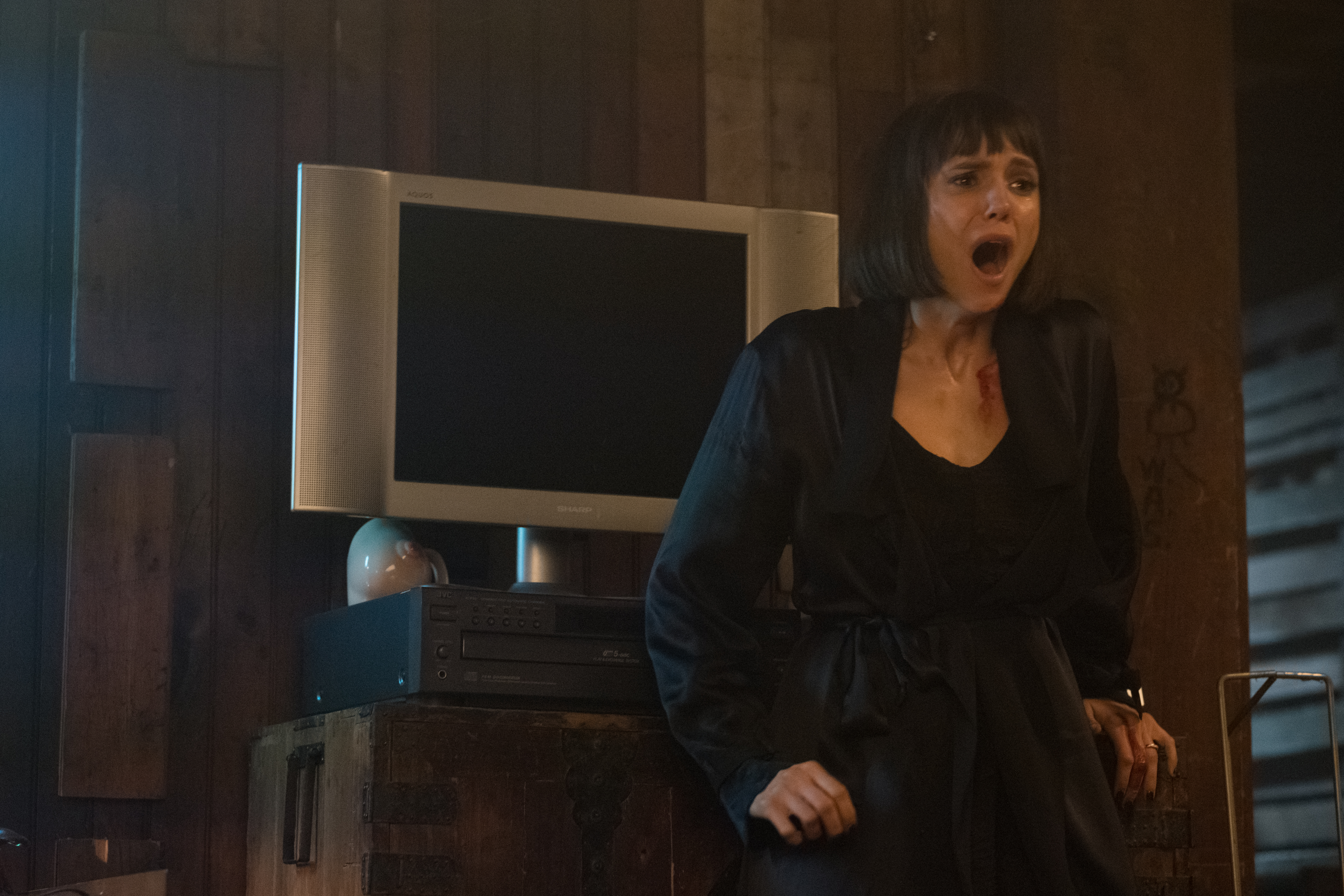 Нина Добрев – 'фото'