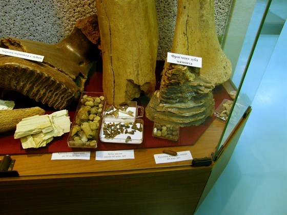 Музей истории Волго-Донского канала – афиша