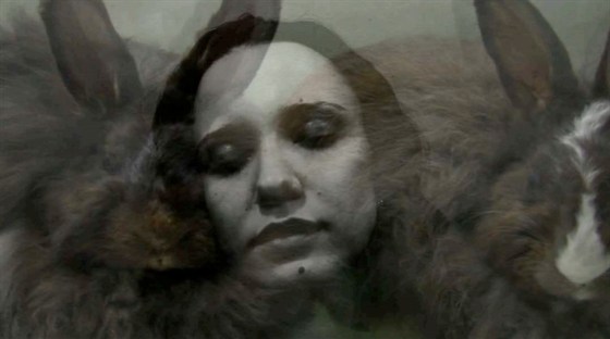 Не музей. Лаборатория эстетических подозрений – афиша