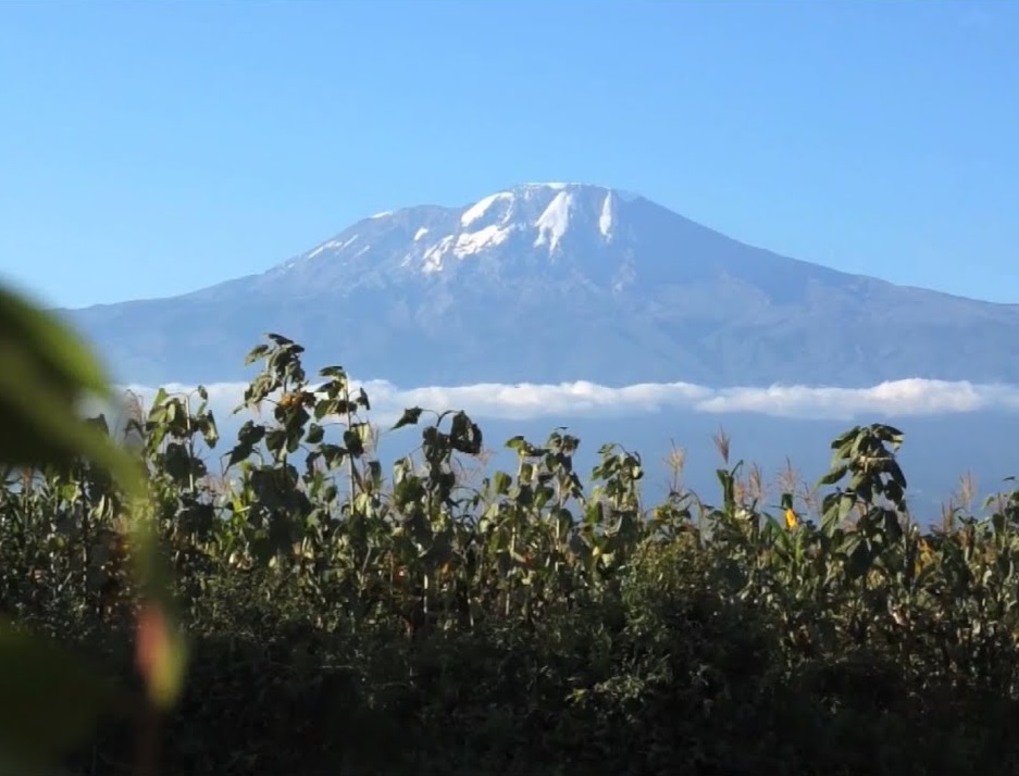 Трое и Килиманджаро – афиша