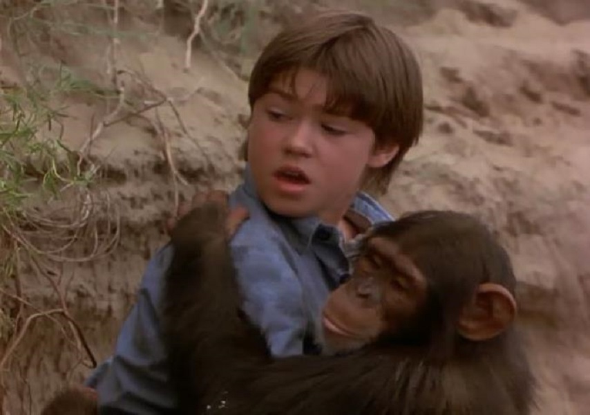 Неприятности с обезьянками – афиша