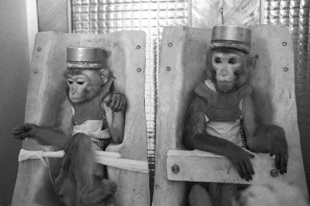 Люди-обезьяны. Секретные опыты доктора Иванова – афиша