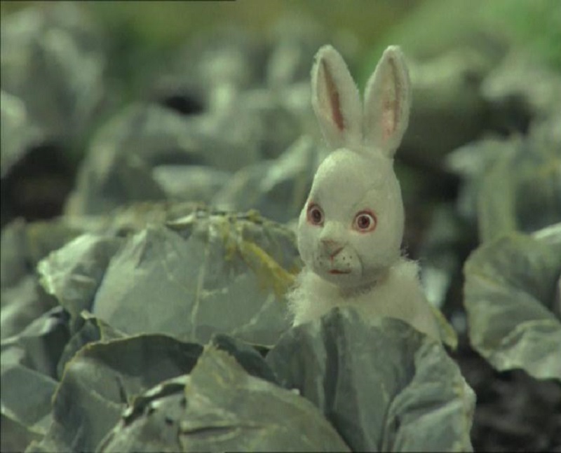 Кролик с капустного огорода – афиша